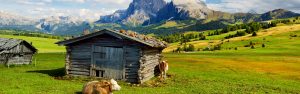 Lo spettacolo delle dolomiti